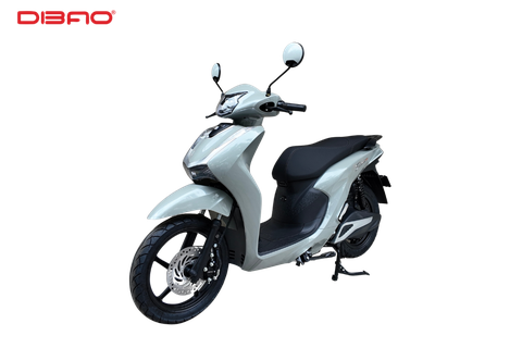 Dibao Shine SA1500