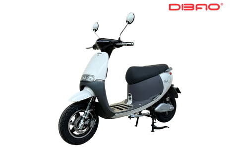 Xe máy điện Dibao Gogo S5