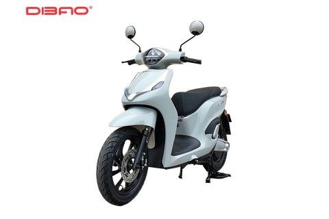 Xe máy điện Dibao LS007