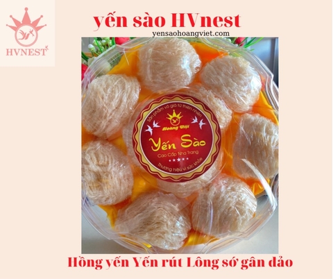 Yến tút lông sớ gân đảo