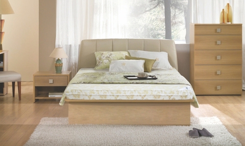 Nệm Bông Ép Everon Padding