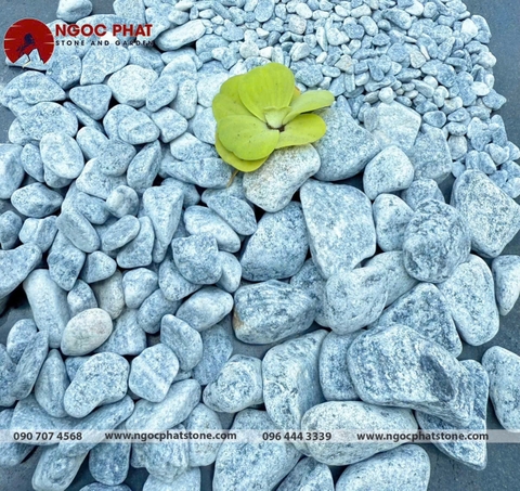 SỎI XANH XÁM TỰ NHIÊN