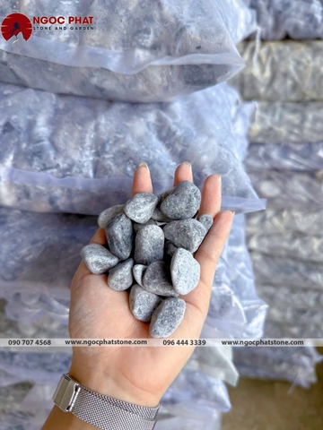 SỎI XANH XÁM TỰ NHIÊN