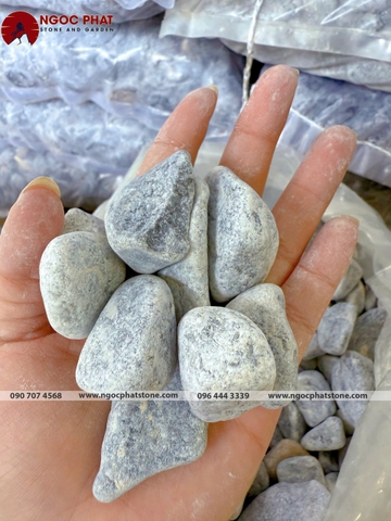 SỎI XANH XÁM TỰ NHIÊN