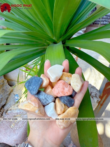 SỎI MIX MÀU TỰ NHIÊN