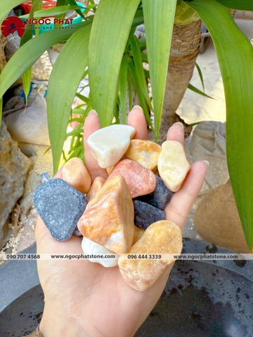 SỎI MIX MÀU TỰ NHIÊN