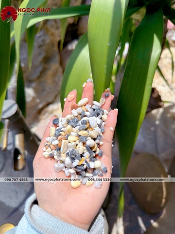 SỎI MIX MÀU TỰ NHIÊN