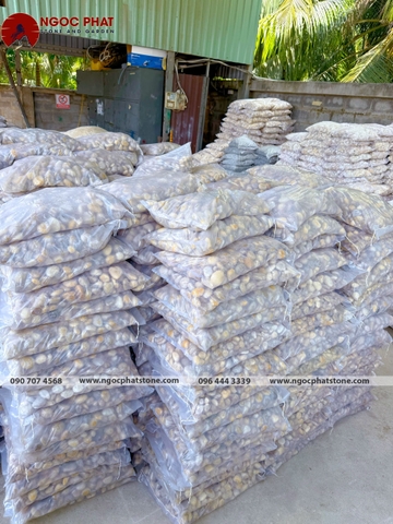 SỎI THẠCH ANH TRẮNG TỰ NHIÊN