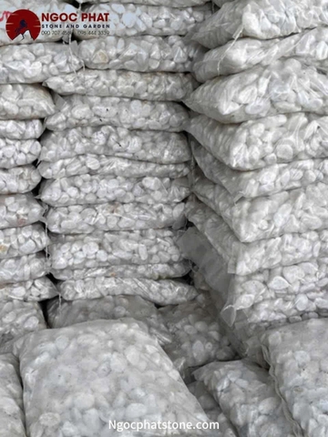 SỎI TRẮNG TỰ NHIÊN