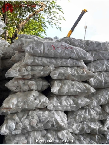 SỎI TRẮNG TỰ NHIÊN