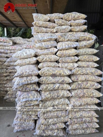 SỎI VÀNG QUAY GÓC CẠNH