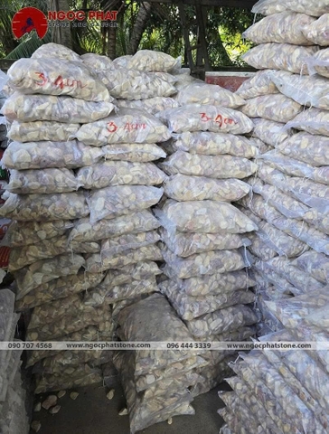 SỎI VÀNG QUAY GÓC CẠNH