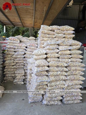 SỎI VÀNG QUAY GÓC CẠNH