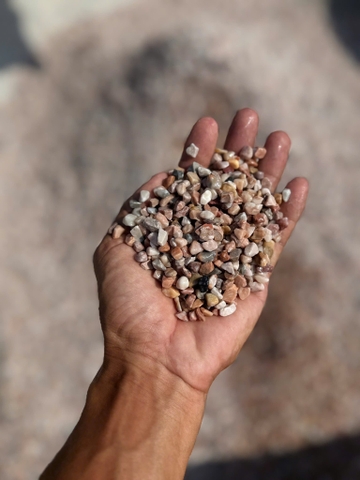 SỎI HỒNG TRANG TRÍ