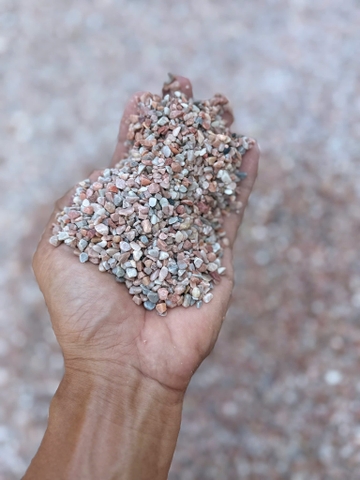 SỎI HỒNG TRANG TRÍ