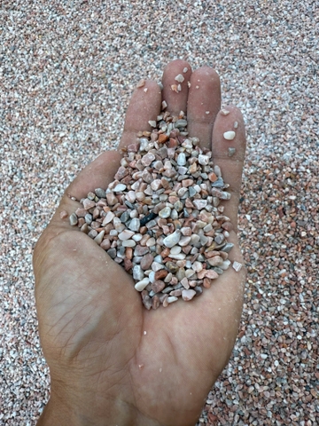 SỎI HỒNG TRANG TRÍ