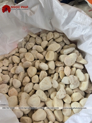 SỎI VÀNG QUAY TỰ NHIÊN