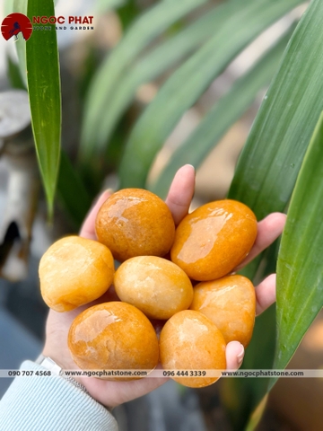 SỎI VÀNG THẠCH ANH