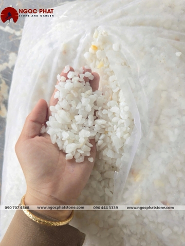 SỎI TRẮNG TỰ NHIÊN
