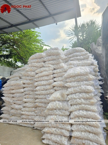 SỎI TRẮNG TỰ NHIÊN
