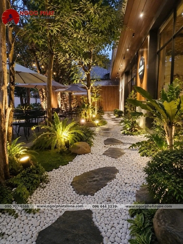 SỎI TRẮNG TỰ NHIÊN