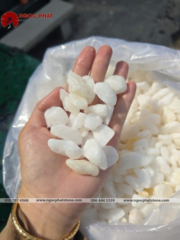 SỎI TRẮNG TỰ NHIÊN