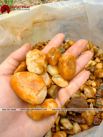 SỎI SÔNG ĐẤT TỰ NHIÊN