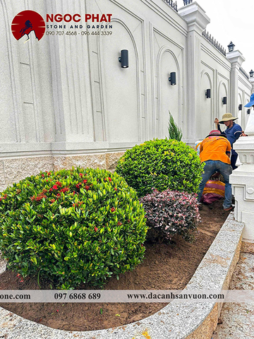 THI CÔNG DỰ ÁN SÂN VƯỜN BIỆT THỰ TÂY NINH