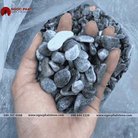 SỎI XANH XÁM TỰ NHIÊN