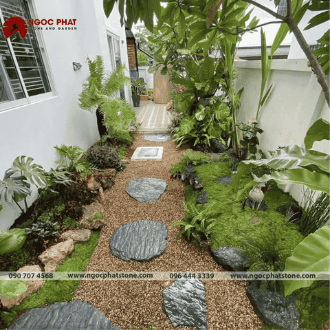 SỎI SÔNG ĐẤT