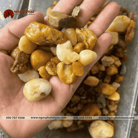 SỎI SÔNG ĐẤT
