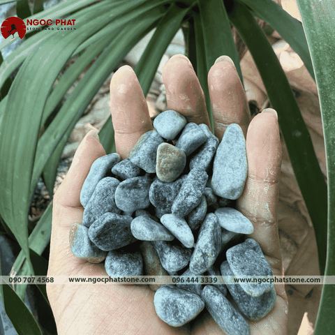 SỎI XANH XÁM TỰ NHIÊN