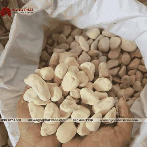 SỎI VÀNG QUAY TỰ NHIÊN