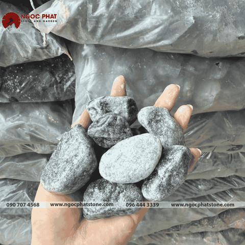 SỎI XANH XÁM TỰ NHIÊN