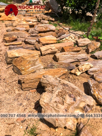 GỖ HOÁ THẠCH (Hàng mới về)