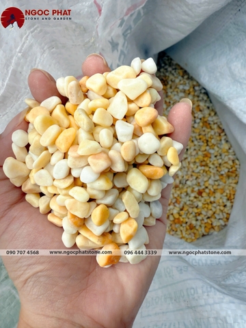 SỎI VÀNG QUAY TỰ NHIÊN