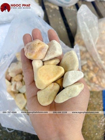 SỎI VÀNG QUAY GÓC CẠNH