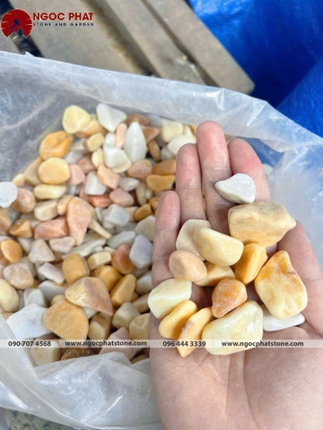 SỎI VÀNG QUAY GÓC CẠNH