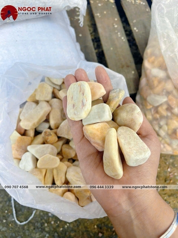 SỎI VÀNG QUAY GÓC CẠNH