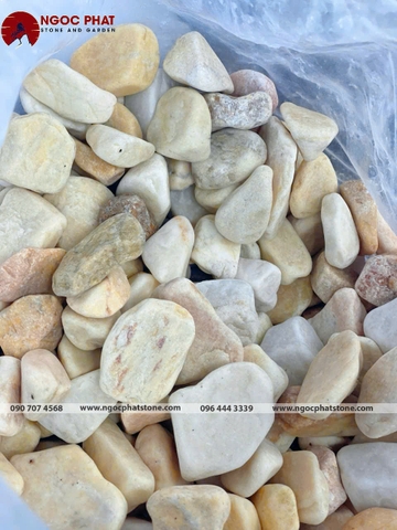 SỎI VÀNG QUAY GÓC CẠNH