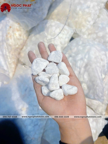 SỎI TRẮNG TỰ NHIÊN