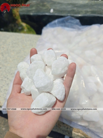 SỎI TRẮNG TỰ NHIÊN