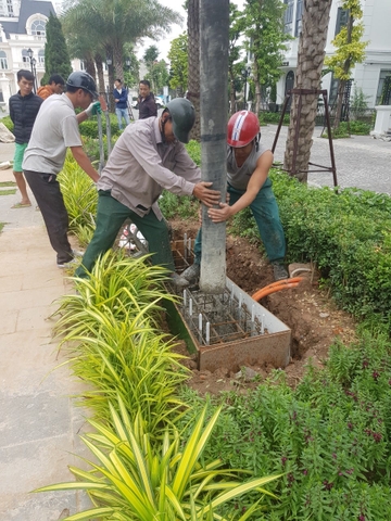 HÀNG RÀO SẮT NGHỆ THUẬT - THẠCH BÀN LAKESIDE