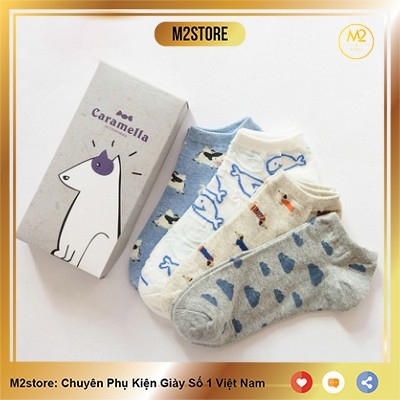 Set Tất Vớ Nữ Cổ Ngắn Caramella 4 Đôi Họa Tiết Động Vật Cực Đáng Yêu TNG55