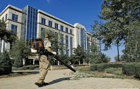 MỘT SỐ MÁY THỔI LÁ THÔNG DỤNG NHẤT HIỆN NAY