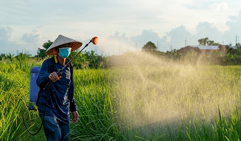 Top 5 Bình xịt điện 16 Lít phun thuốc sâu bán chạy