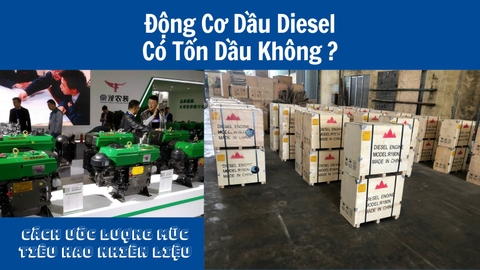 Máy Nổ Dầu Diesel Có Tốn Dầu Không? Cách Ước Lượng Mức Tiêu Hao Nhiên Liệu