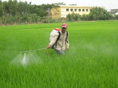 Hướng Dẫn Sử Dụng Bình Xịt Máy Động Cơ Xăng Hiệu Quả An Toàn