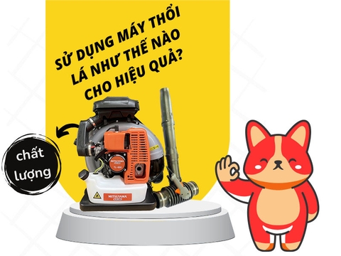 Máy Thổi Lá - Cách Sử Dụng Đơn Giản Và Hiệu Quả Nhất