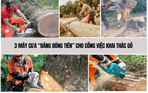 3 Máy Cưa “Đáng Đồng Tiền” Cho Công Việc Khai Thác Gỗ